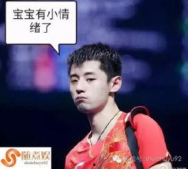 娱乐吃瓜酱宋雨琦张继科,揭秘明星背后的故事